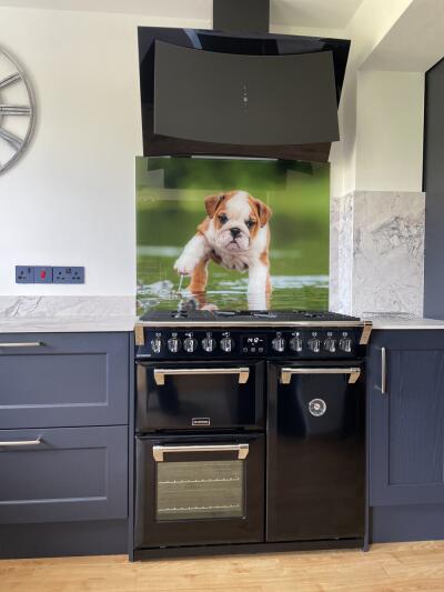 In situ image by David Frizell from Wigton