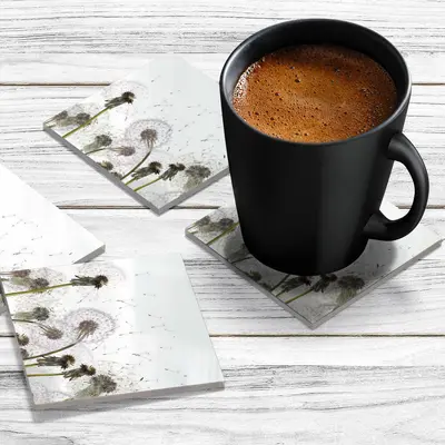 4 x Acrylic Coaster in Dandelion Clocks