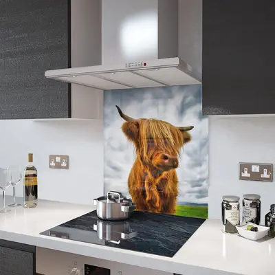 Glass Splashback - Printed Digital Images - Made To Measure